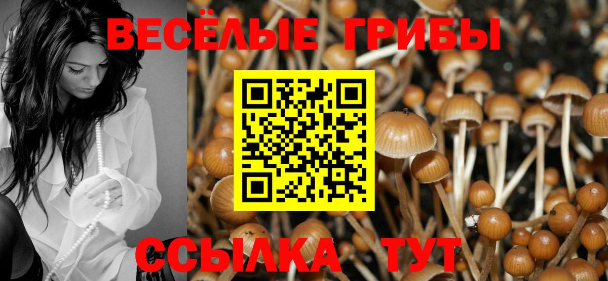 Псилоцибиновые грибы мицелий  Галлюциногенные грибы прущие грибы  Вход с VPN  Апшеронск 