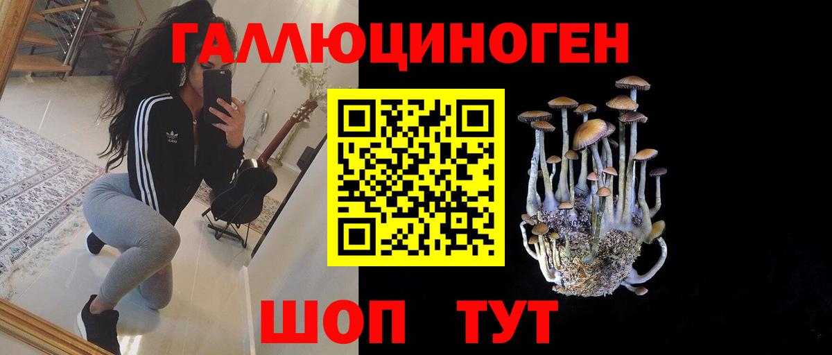 Псилоцибиновые грибы мицелий Апшеронск